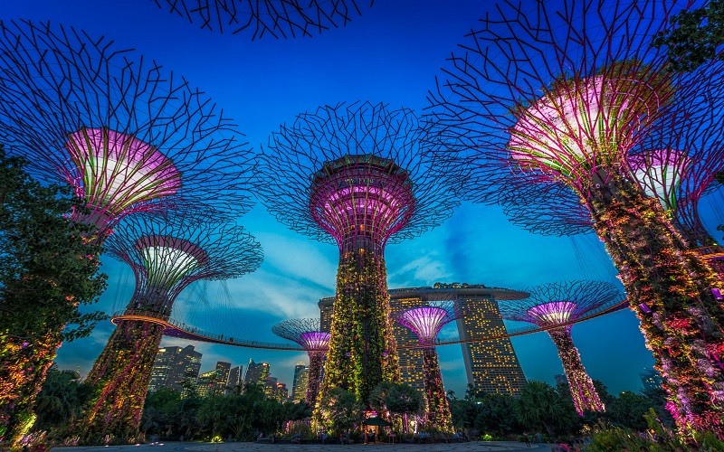 Singapore_Gardens_By_The_Bay_evening