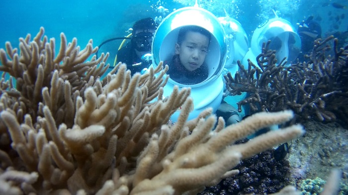 Tự do khám phá san hô dưới đáy biển