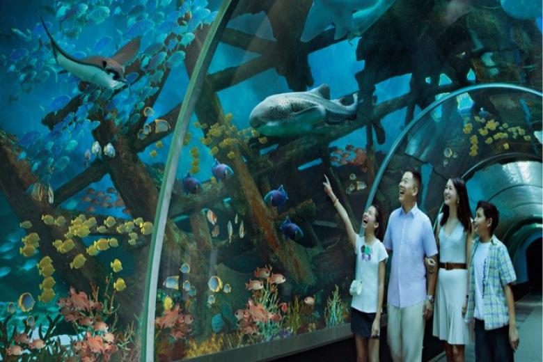 Thuỷ Cung Sea Aquarium