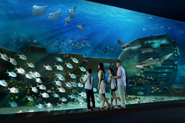 Tour Singapore - Sea Aquarium Freeday 4N3Đ + KS 3, 4*
