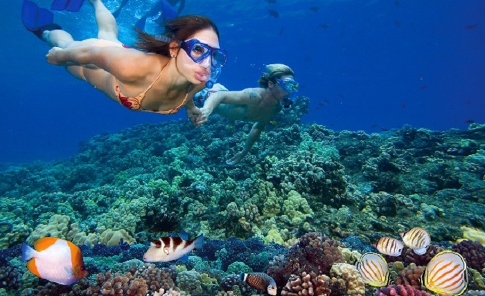 Lặn ngắm san hô ở Côn Đảo
