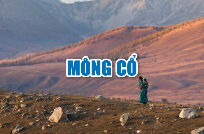 banner-mong-co-guide-book-tong-hop