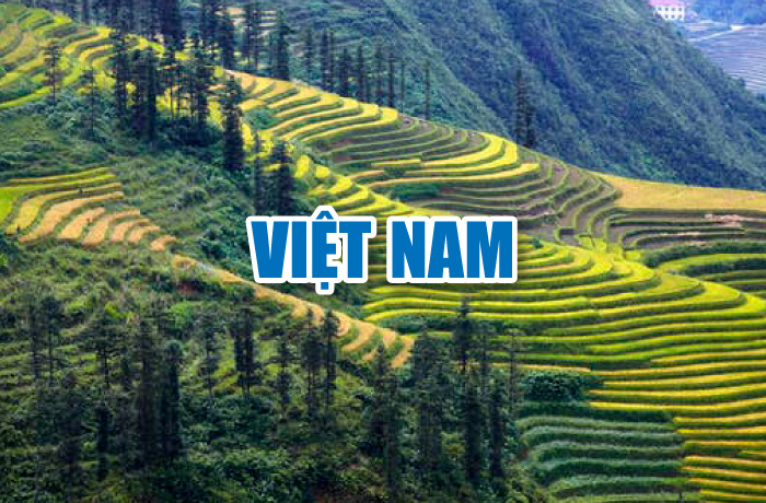banner-viet-nam-guide-book-tong-hop