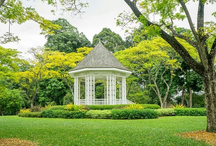 Vườn bách thảo xanh mát - 48 giờ ở Singapore