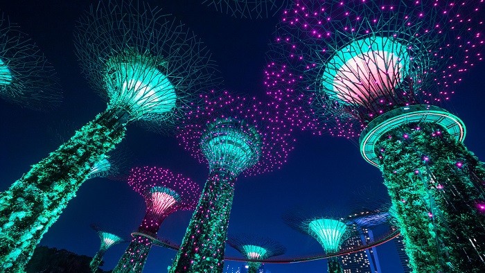 Singapore về đêm Gardens by the Bay