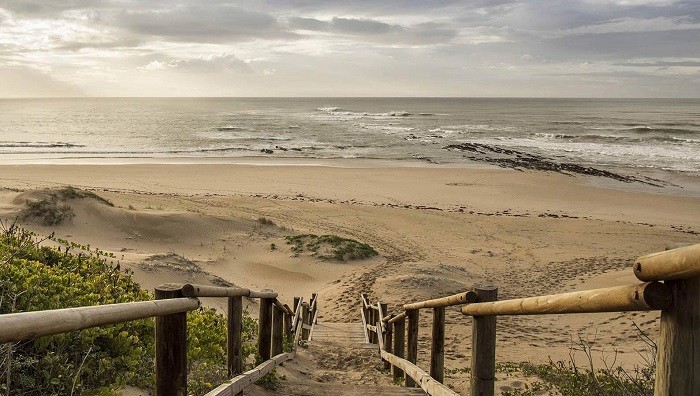 Kết nối với thiên nhiên ở bãi biển Paradise Nam Phi