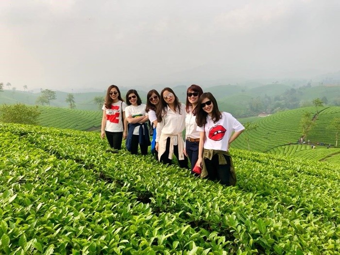 Beautiful tea hills in Phu Tho - Long Coc tea hill