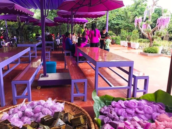 Purple House Can Tho - Enjoying Nam Bo cakes