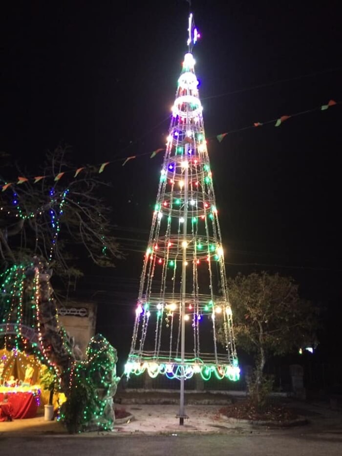 Place to welcome Christmas in Nam Dinh - Bui Chu Cathedral