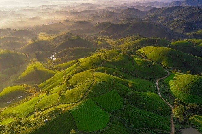 Đồi chè Long Cốc Phú Thọ ví như 'Vịnh Hạ Long' vùng trung du