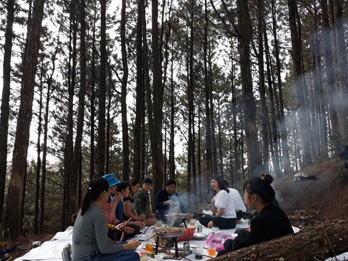 Organizing a nic pic, picnic with close friends on Thanh Thuy pine hill