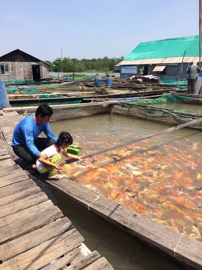 Du lịch Côn Sơn, Cần Thơ - bè cá