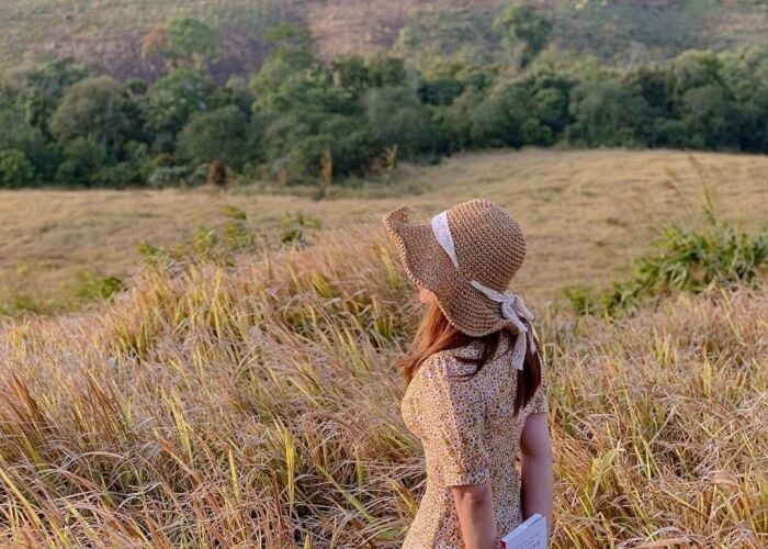 Kon Plong tourism - cotton grass hill