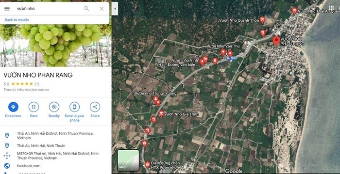Du lịch vườn nho Ninh Thuận - bản đồ đến vườn nho Thái An
