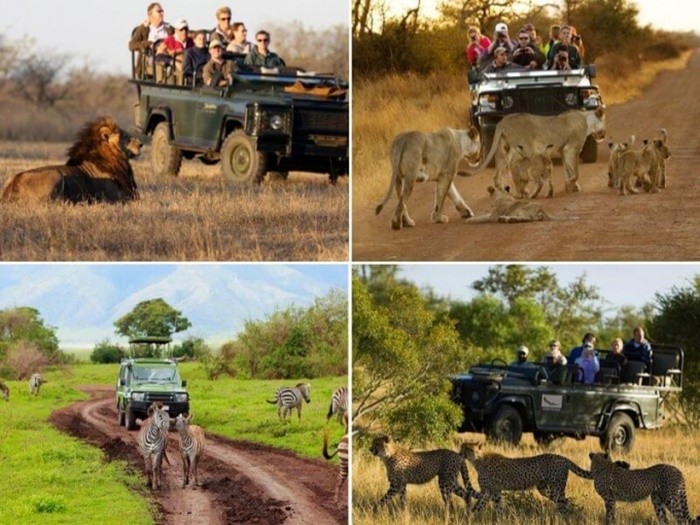 Vị trí khu du lịch vườn quốc gia Kruger