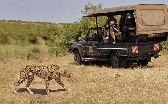 Khám phá thế giới động vật khi đi du lịch vườn quốc gia Kruger, Nam Phi