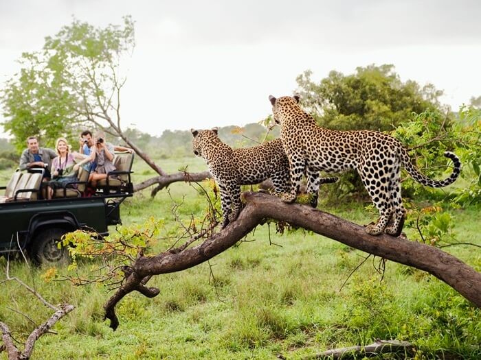 Du lịch vườn quốc gia Kruger vào tháng 9, tháng 10