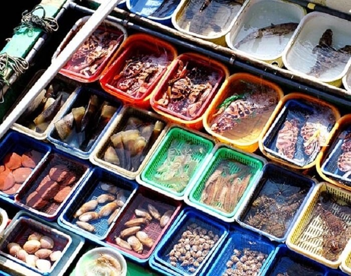 Kinh nghiệm du lịch biển Quất Lâm và khám phá chợ hải sản