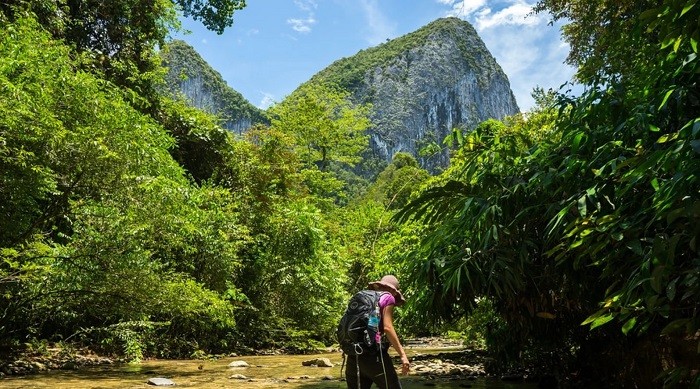 Trekking ở Borneo - kinh nghiệm du lịch Borneo tự túc