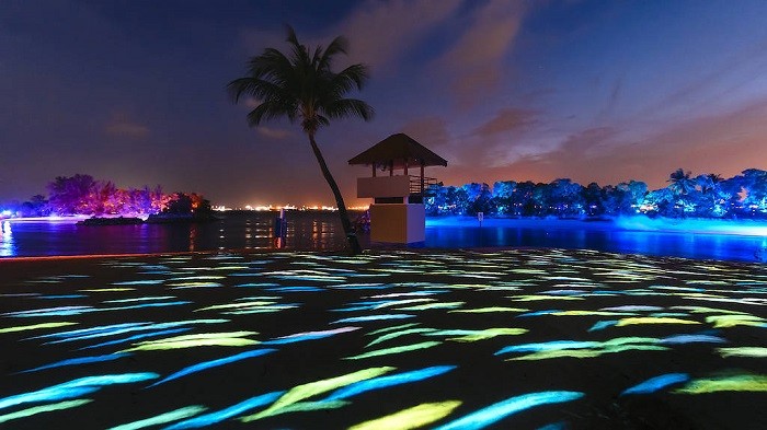 Singapore về đêm Magical Shores 