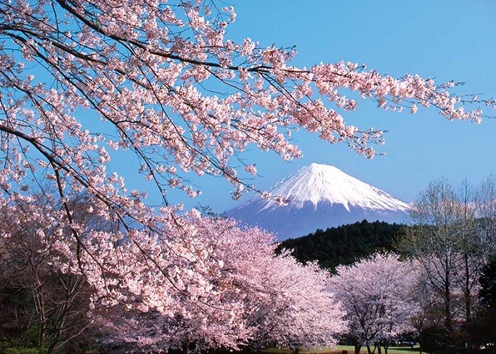 mùa xuân, núi Phú Sỹ Nhật Bản