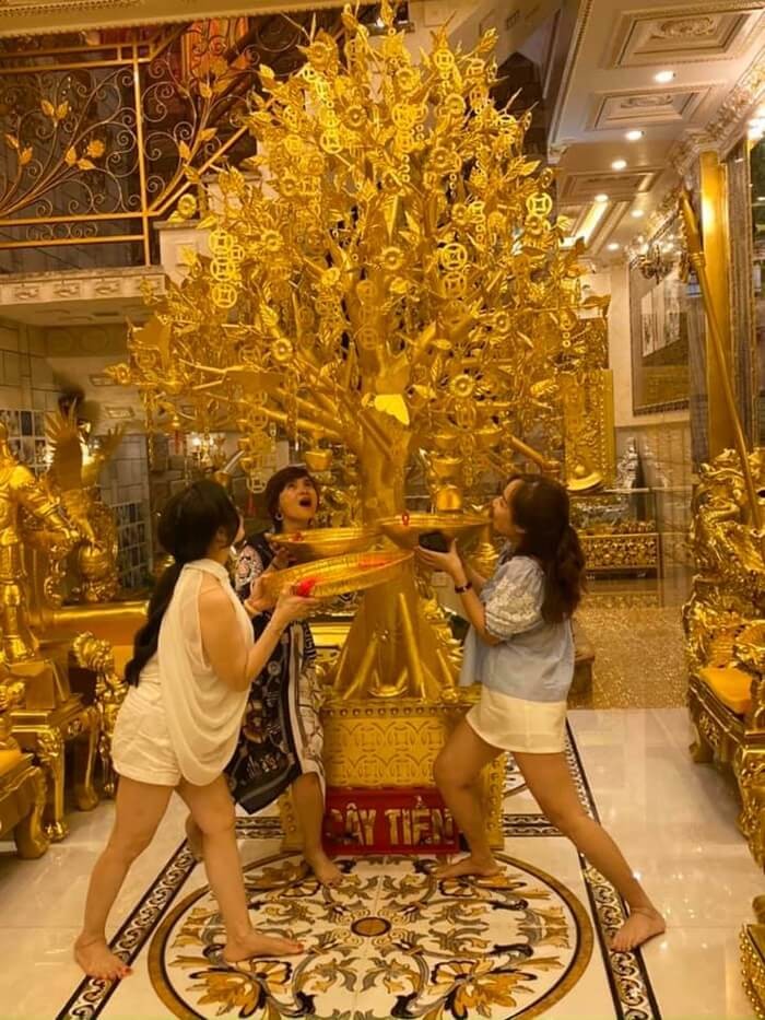 Gold-plated house in Can Tho - cash tree