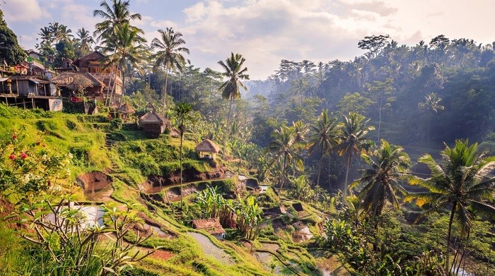 Ruộng bậc thang ở Ubud - những điểm đến đẹp nhất Indonesia