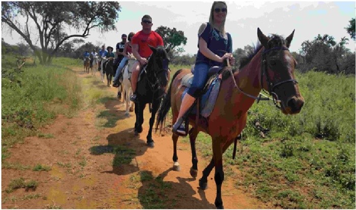 Những trò chơi mạo hiểm ở Nam Phi - cưỡi ngựa