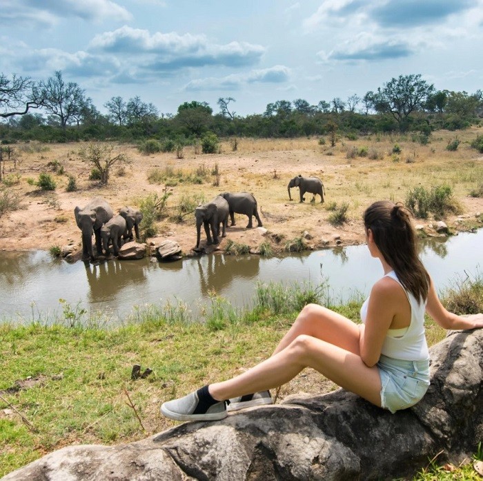 Safari - du lịch Nam Phi một mình