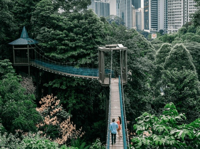 Đi bộ trong rừng quốc gia KL Forest Eco Park - trải nghiệm miễn phí ở Kuala Lumpur