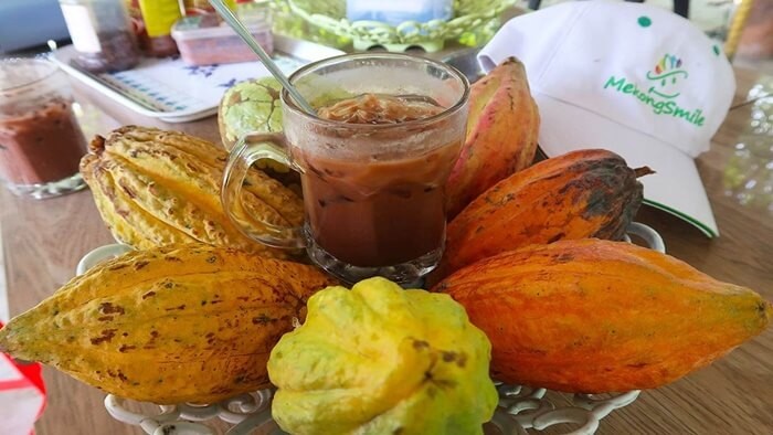 Vườn ca cao Mười Cương Cần Thơ và hương vị thơm ngon từ ly ca cao