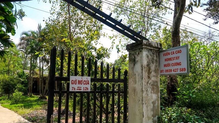 Giá vé và thời gian mở cửa vườn ca cao Mười Cương Cần Thơ