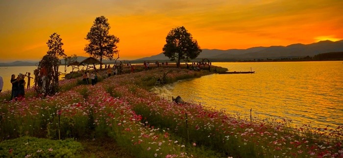 Lên đồ đẹp, thả dáng xinh bên vườn hoa bờ sông Đăk Bla, Kon Tum