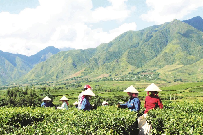 du lịch Tân Uyên