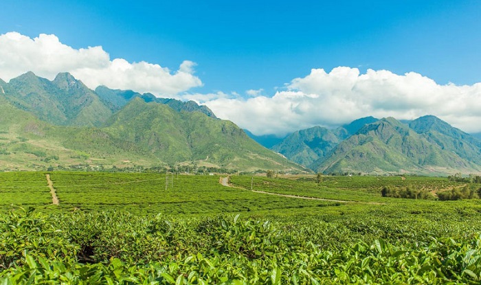 du lịch Tân Uyên