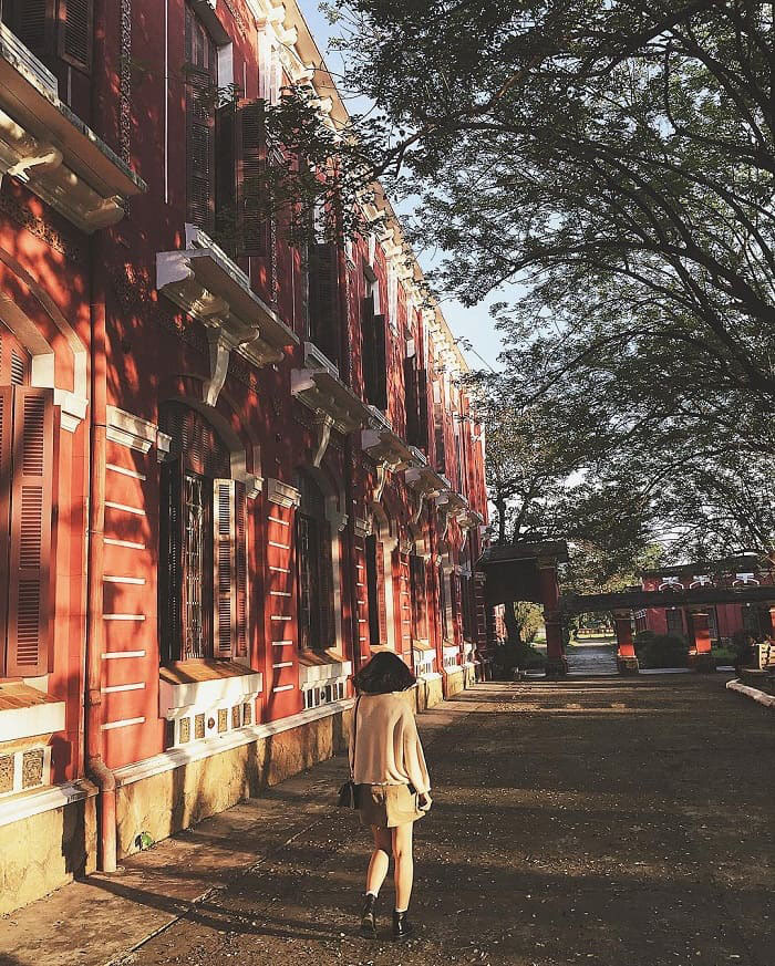 In early March, the courtyard of Hue Quoc Hoc School was filled with cherry blossoms, brightening a whole yard