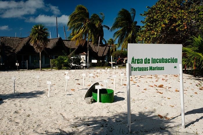 du lịch hòn đảo Cayo Largo