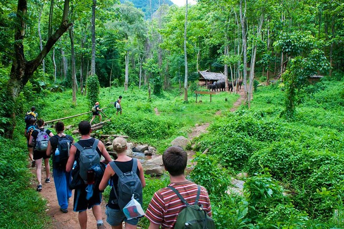 Explore Cuc Phuong National Park