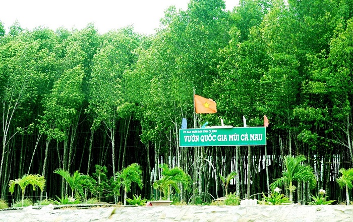 Ca Mau eco-tourism area