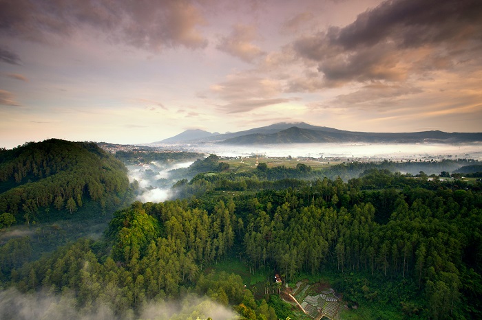 Vẻ đẹp của Lembang - Địa điểm du lịch tự nhiên ở Indonesia