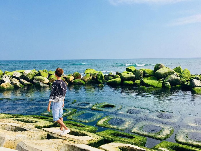 Xom Ro embankment - breakwater with green moss
