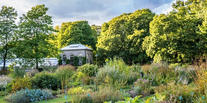 Vườn bách thảo Botaniska Tradgarden - Các địa điểm tham quan ở Lund 
