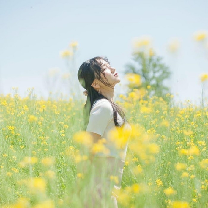 cánh đồng hoa cải trong phim 'Cậu Vàng' - vibes Hàn Quốc
