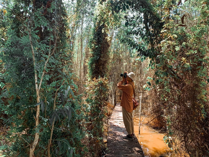 Explore Tan Tuyen An Giang Melaleuca forest - Wild beauty