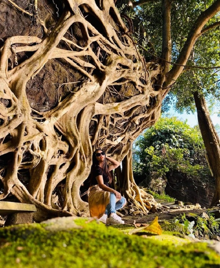virtual life - an activity not to be missed at the old si tree in Dak Lak