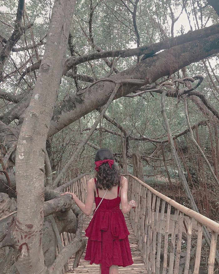 rễ cây - góc check in đẹp tại thác Bảy Nhánh ở Đắk Lắk