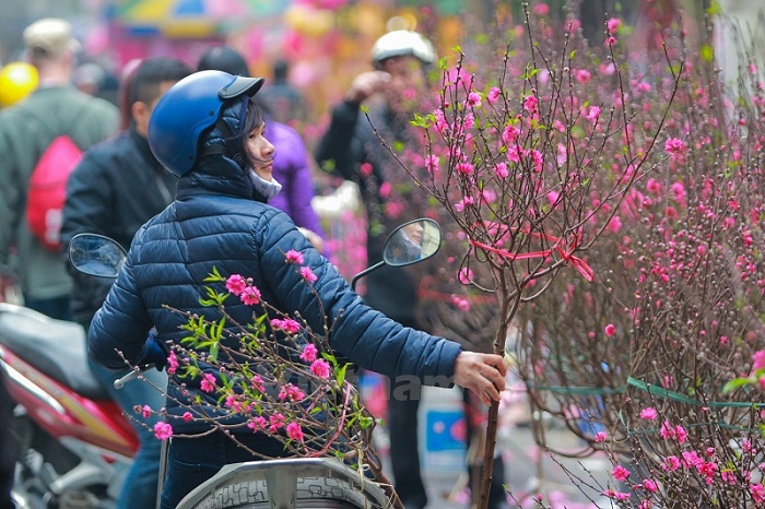 chợ hoa Hà Nội-hang-luoc-lolivi