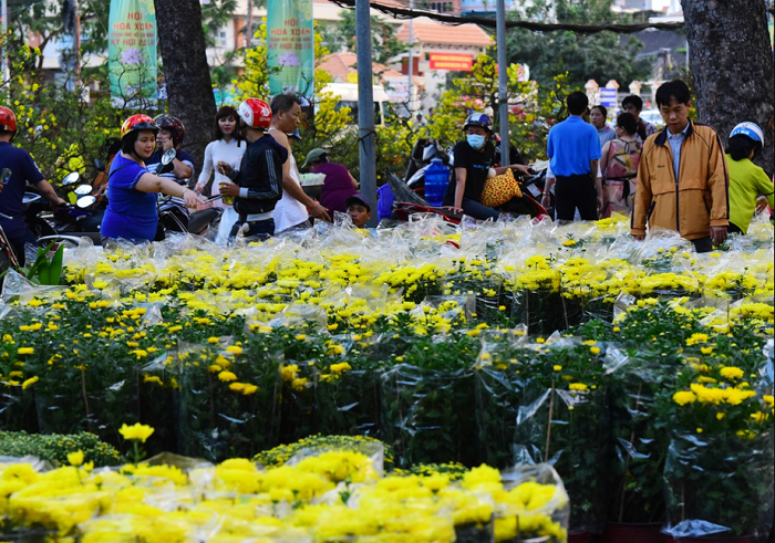 Chợ hoa Tết ở Sài Gòn - chợ hoa công viên 23/9 thu hút người mua kẻ bán