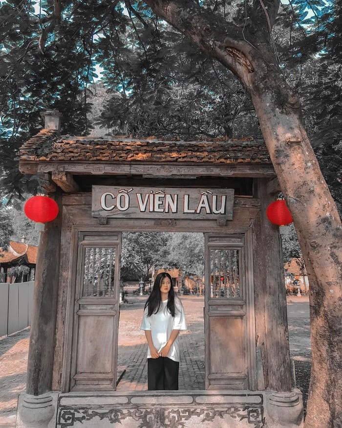 About Co Vien Ninh Binh Floor