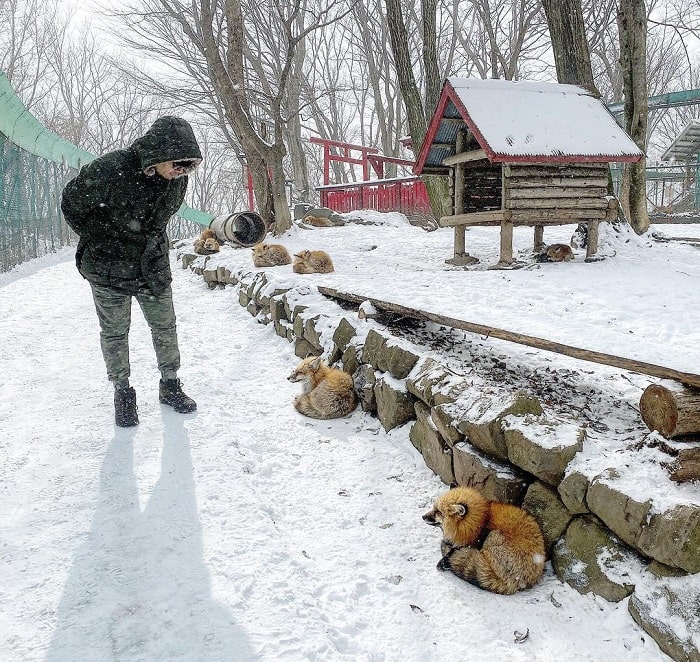 Zao Fox Village - visit the fox shrine